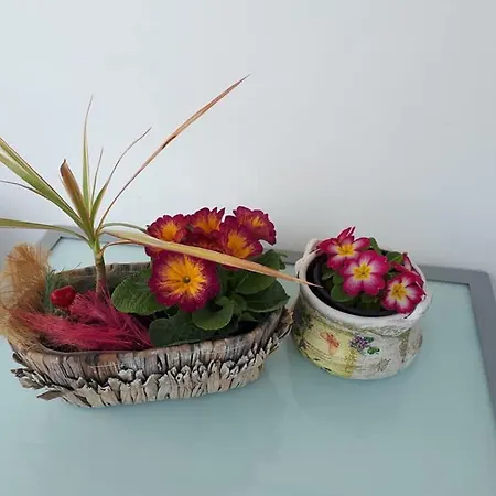 Art * Weliko Tarnowo