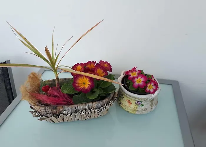 Art * ヴェリコ・タルノヴォ